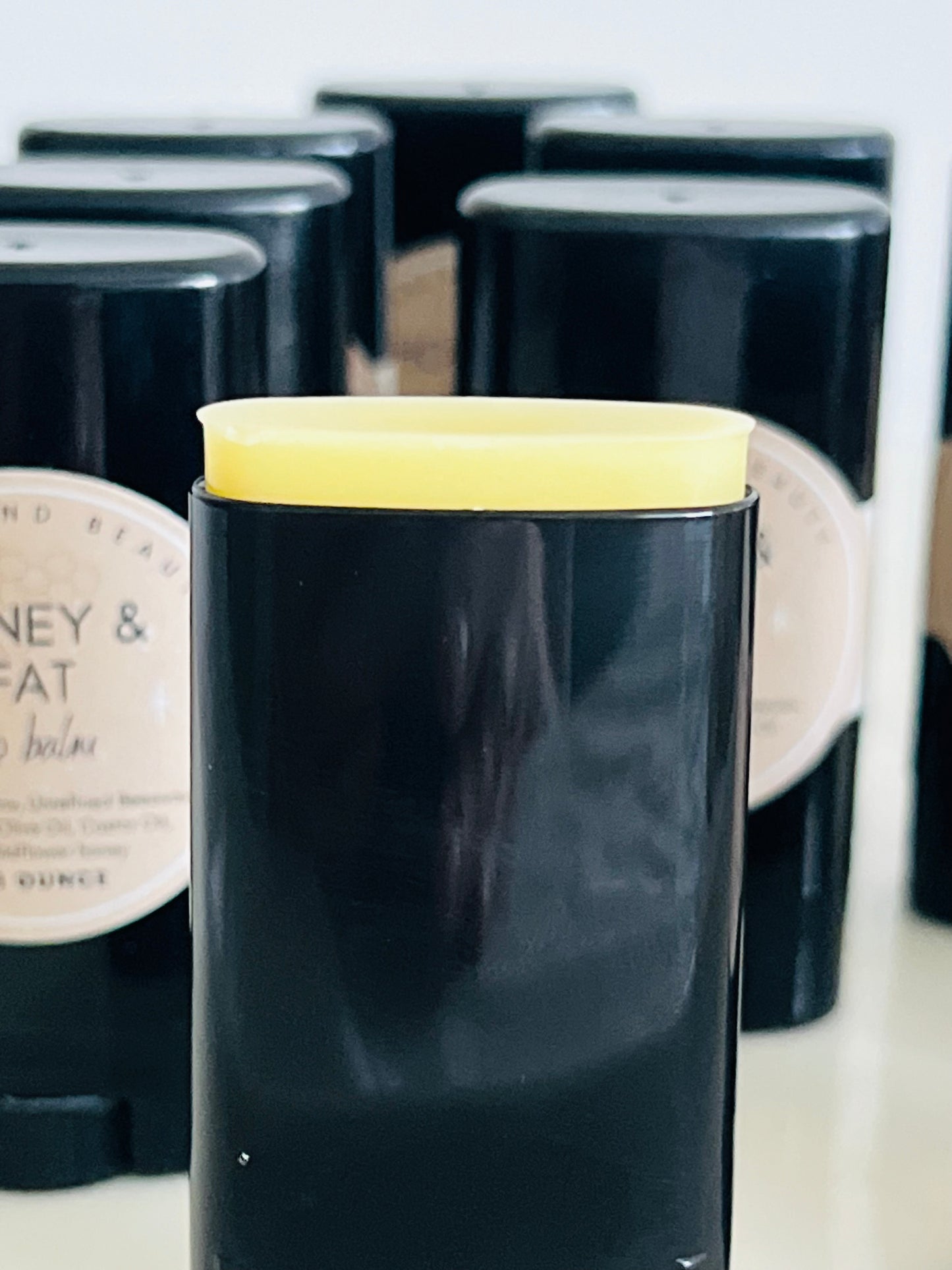 Honey & Fat Lip Balm