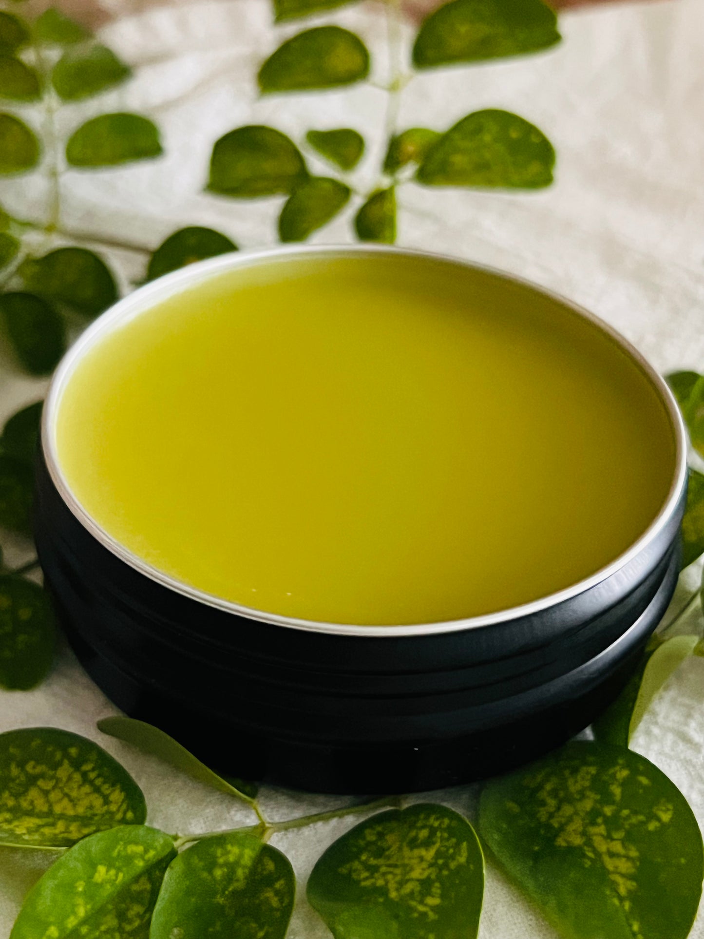 Illuminating Tallow Salve (Bestseller)