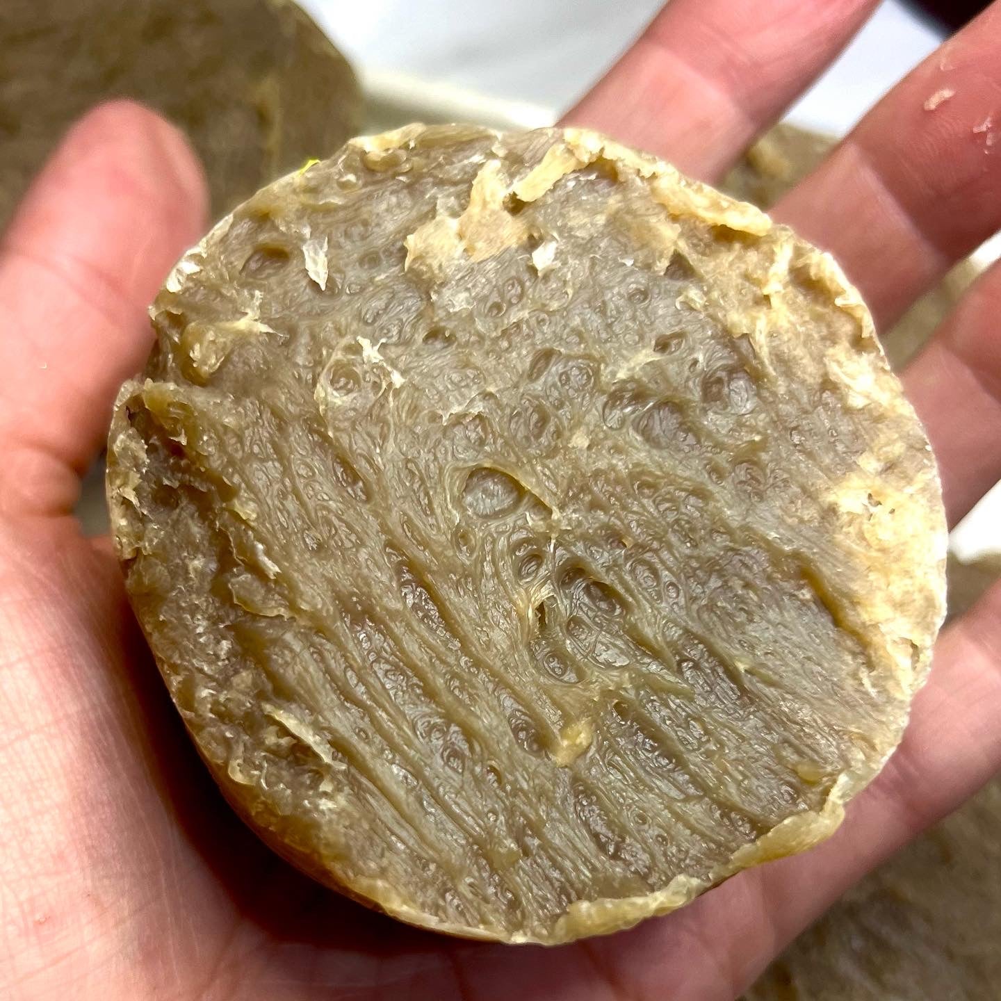 Hops & Rosemary Shampoo Bar