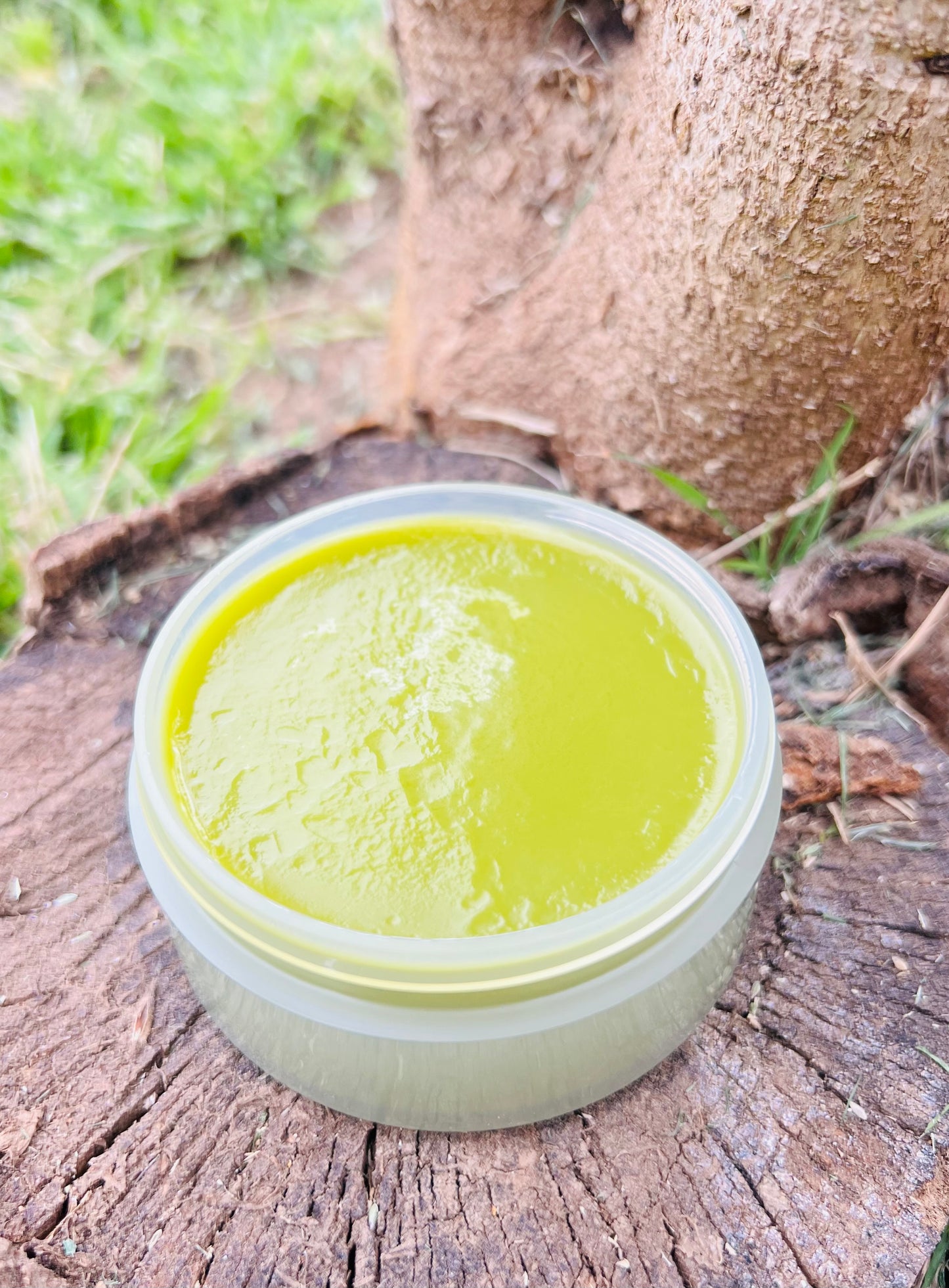 Sonoran Healing Salve (Bestseller)