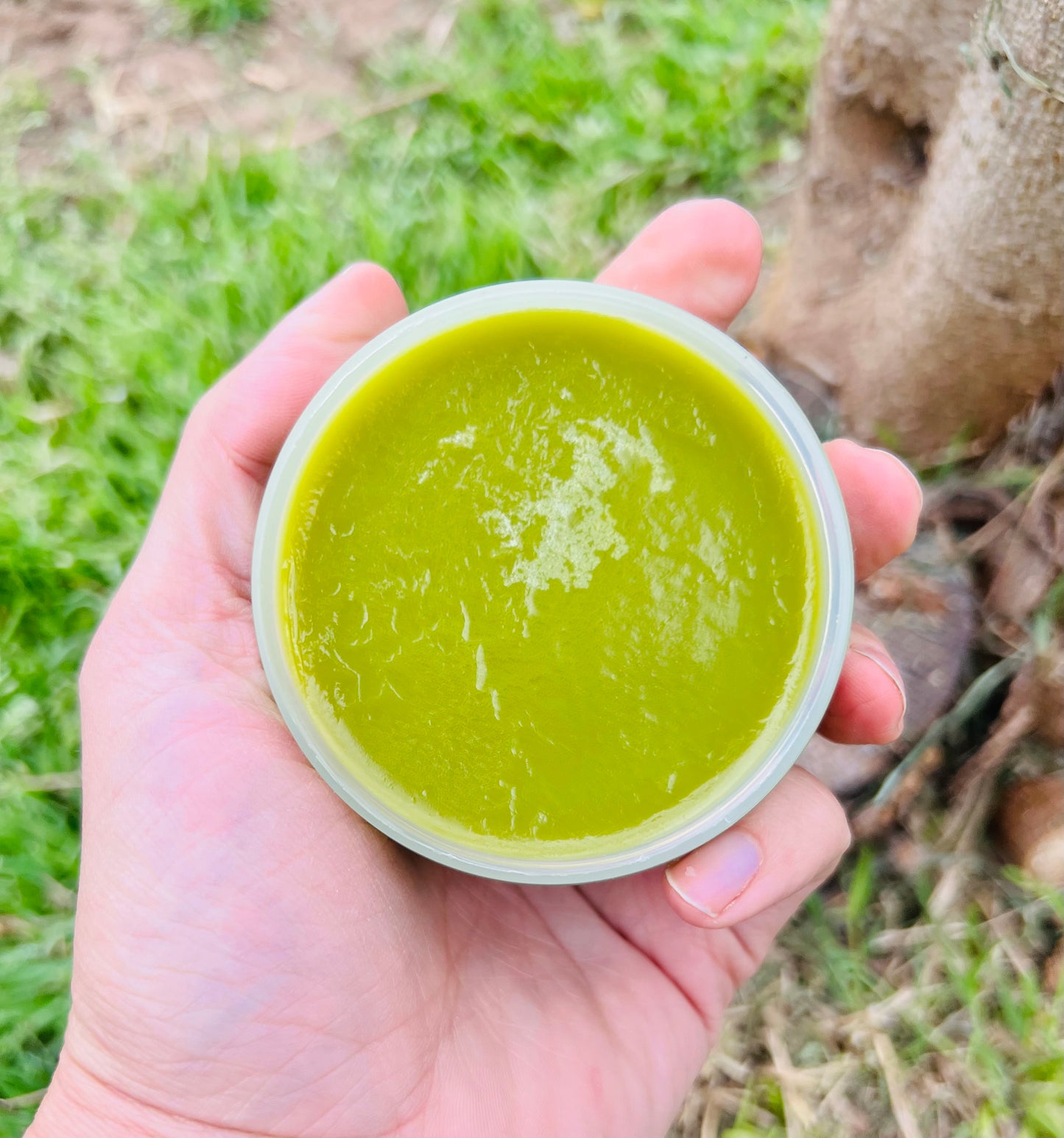 Sonoran Healing Salve (Bestseller)