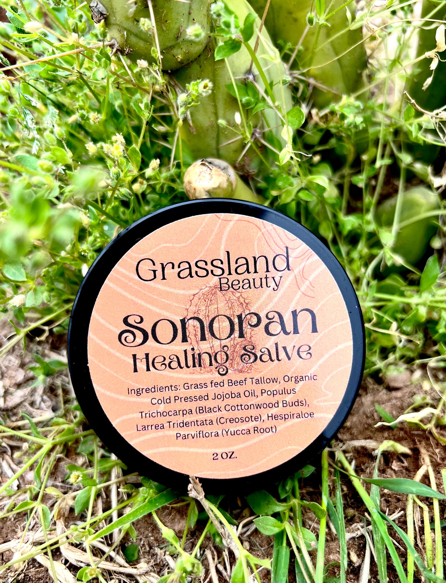 Sonoran Healing Salve (Bestseller)