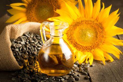 Seed Oils Friend or Foe? Part 2 diet