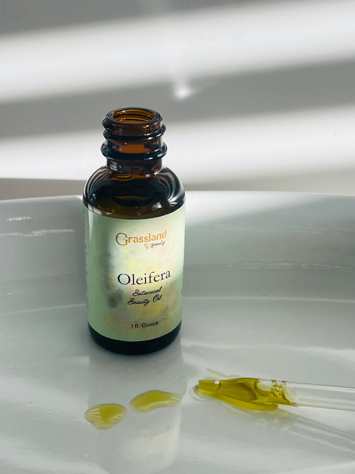 Oleifera Oil