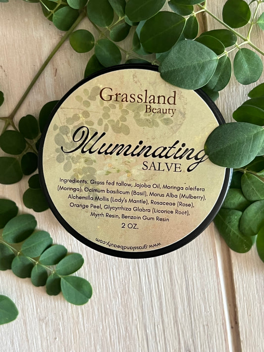 Illuminating Tallow Salve (Bestseller)