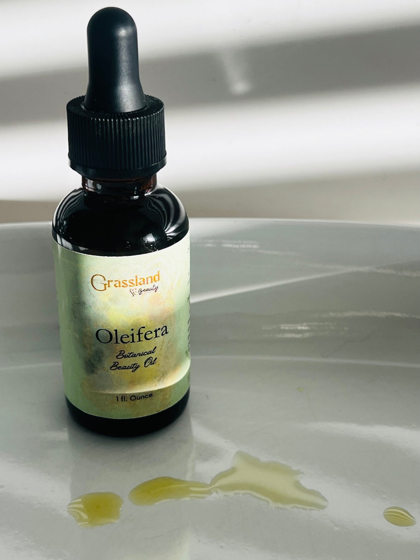 Oleifera Oil