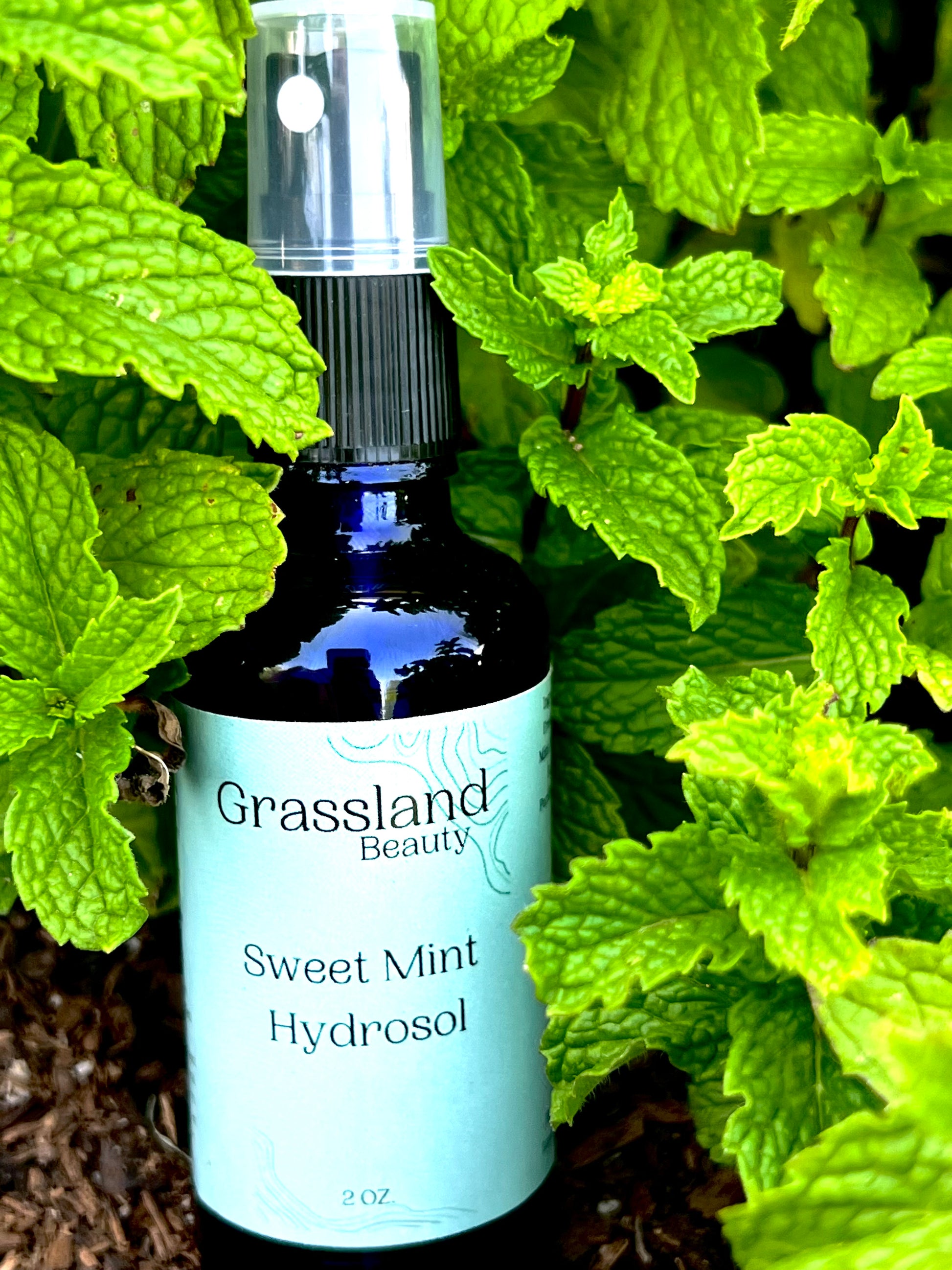 Sweet Mint Hydrosol