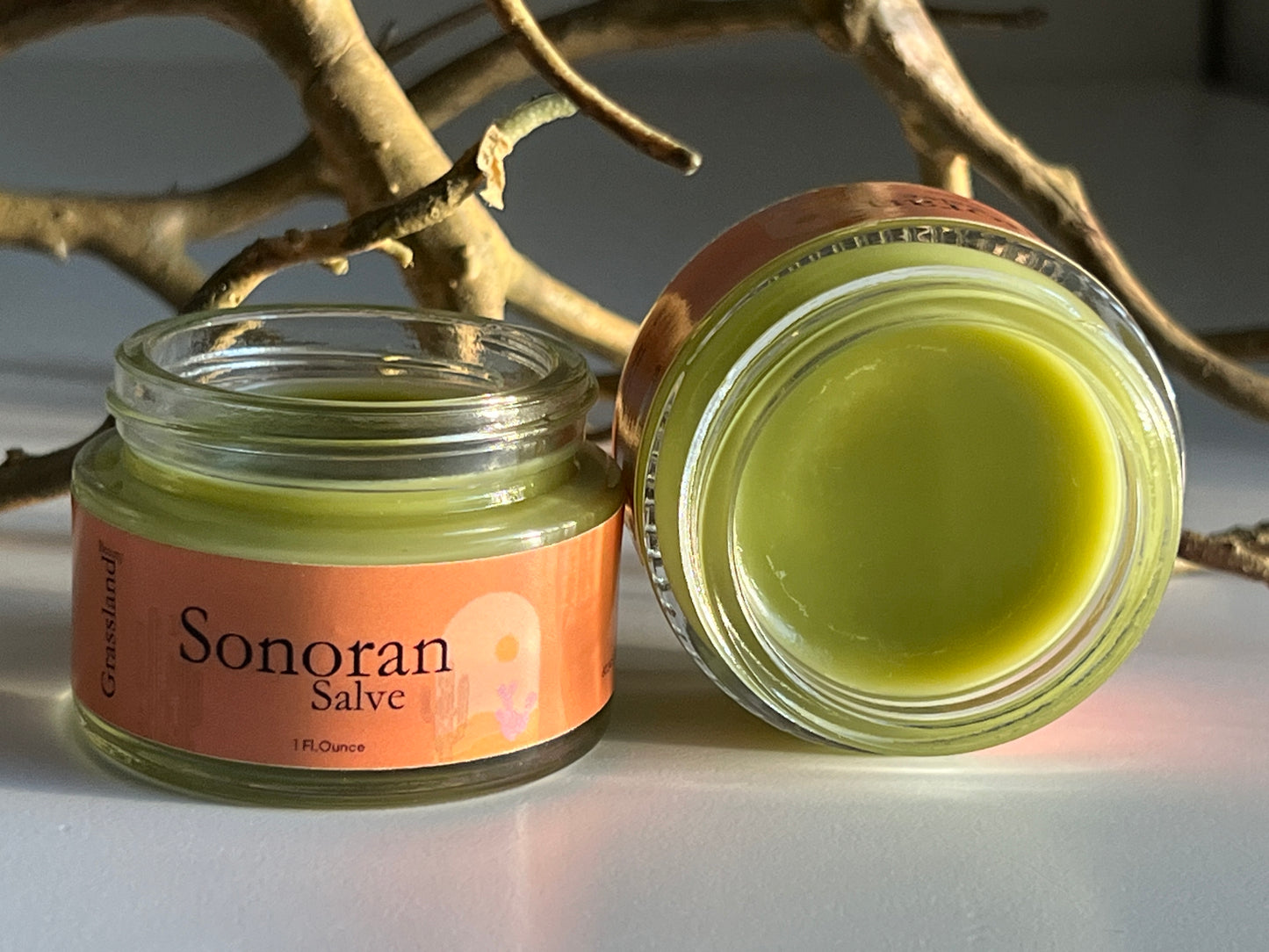 Sonoran Healing Salve (Bestseller)