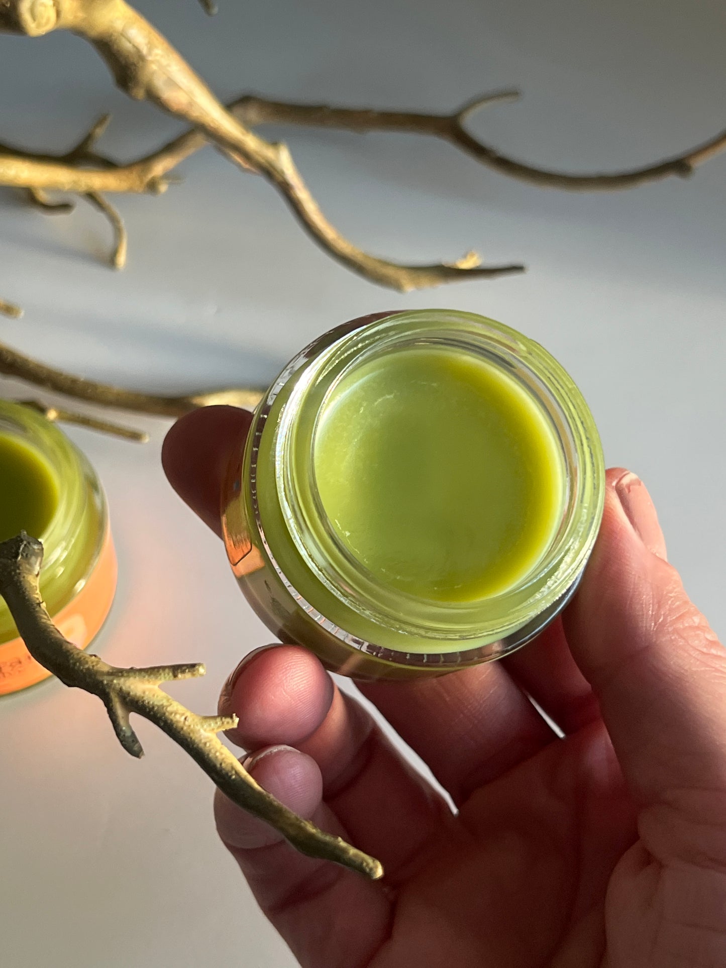 Sonoran Healing Salve (Bestseller)