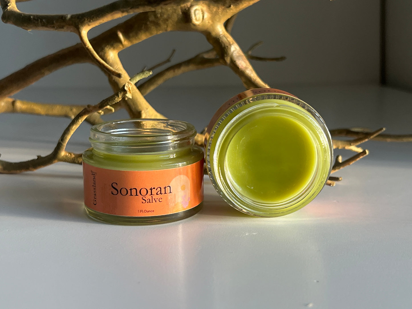 Sonoran Healing Salve (Bestseller)