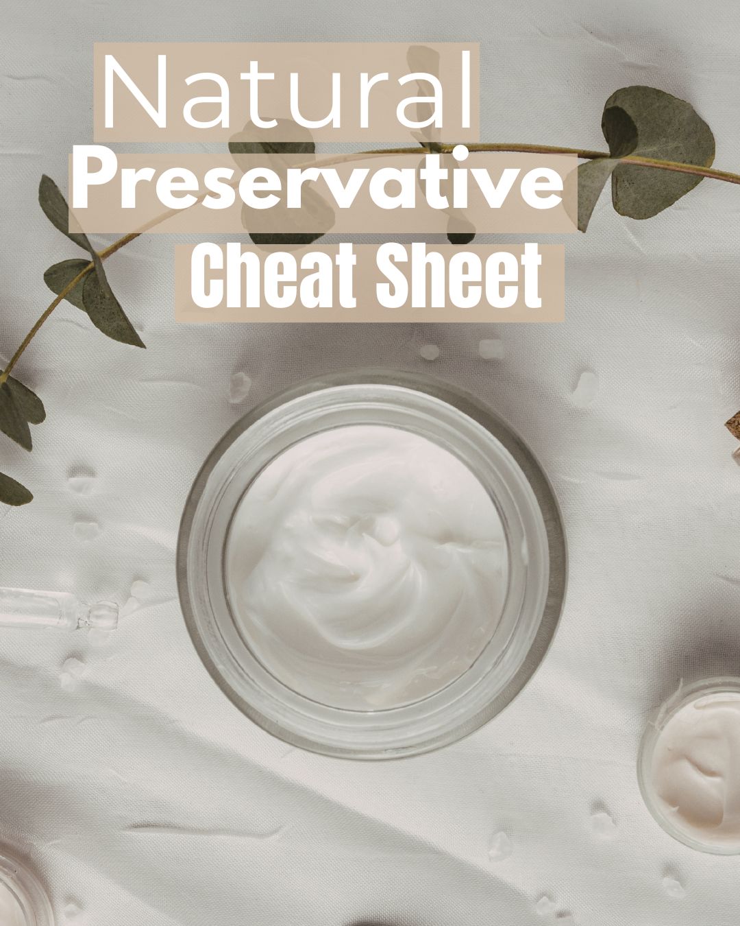 Natural Preservative Cheat Sheet